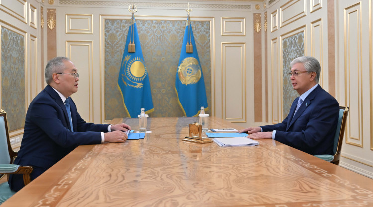 Мемлекет басшысы Қаржылық мониторинг агенттігінің төрағасы Жанат Элимановты қабылдады